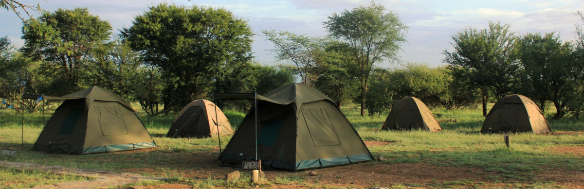 Teltlejr på en safarirejse til Tanzania